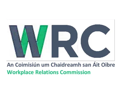 Ireland labour leasing license